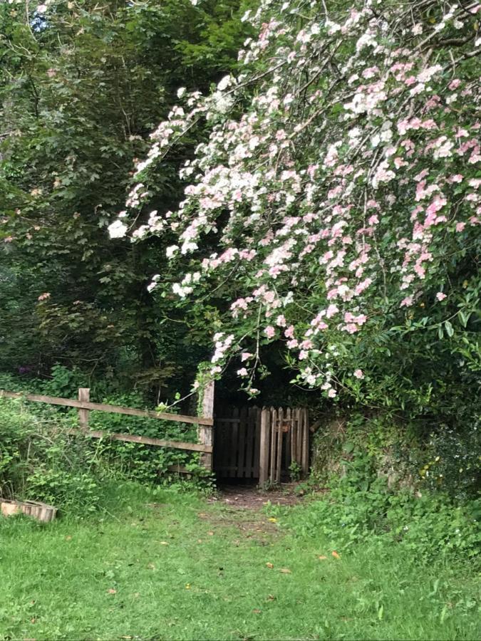 Oak Lodge Tavistock  Luaran gambar