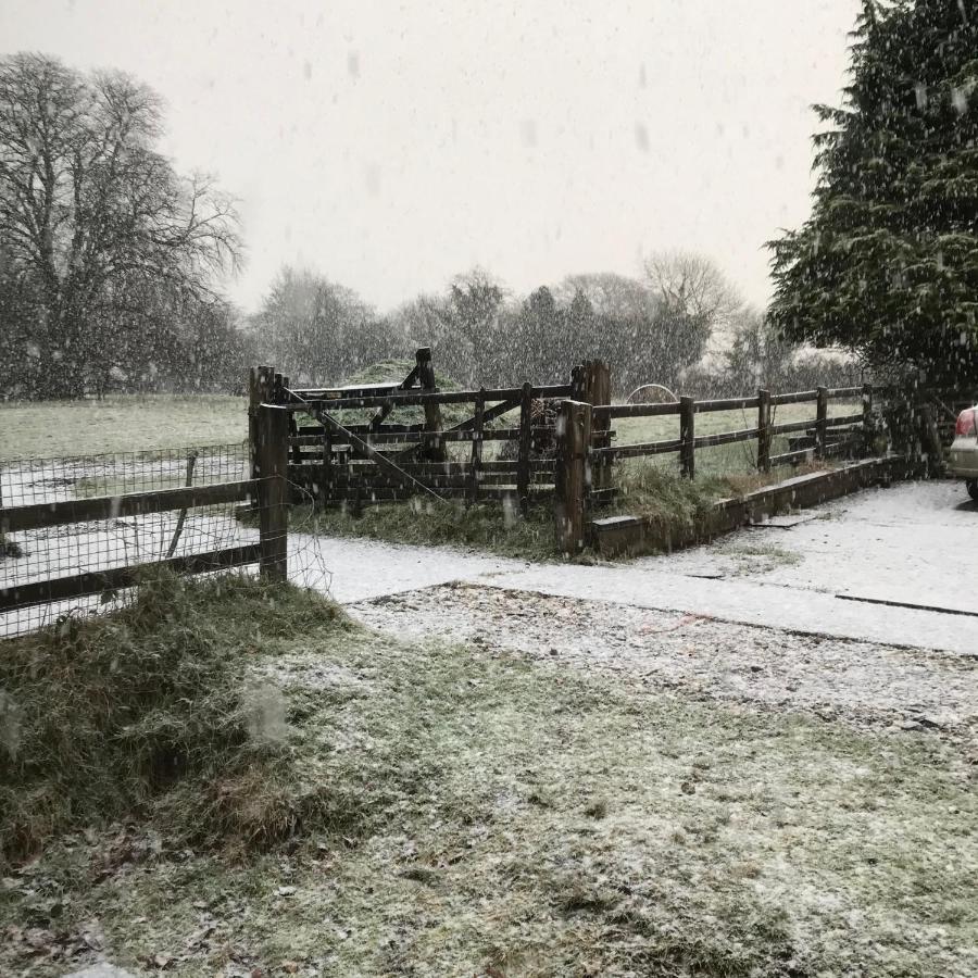 Oak Lodge Tavistock  Luaran gambar