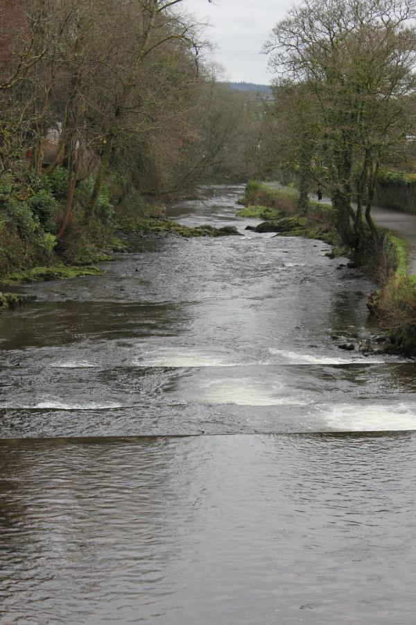 Oak Lodge Tavistock  Luaran gambar