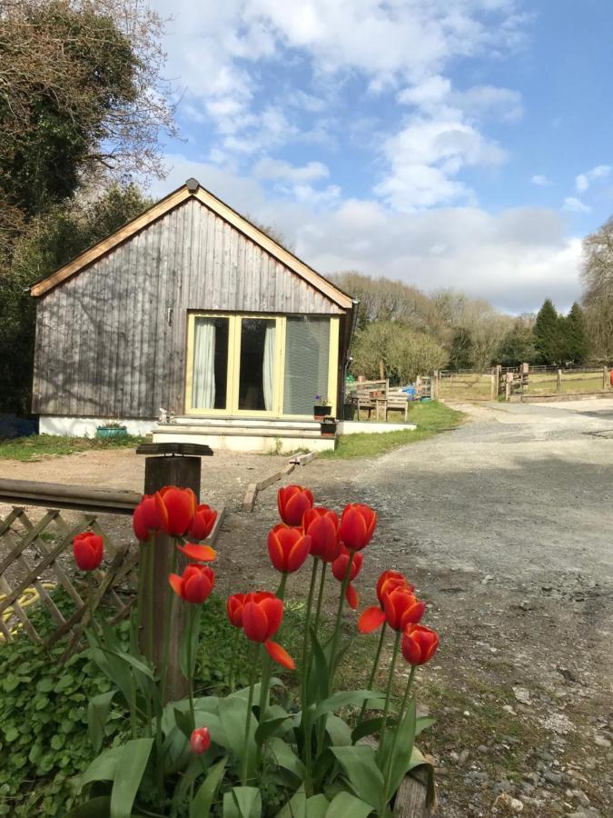 Oak Lodge Tavistock  Luaran gambar